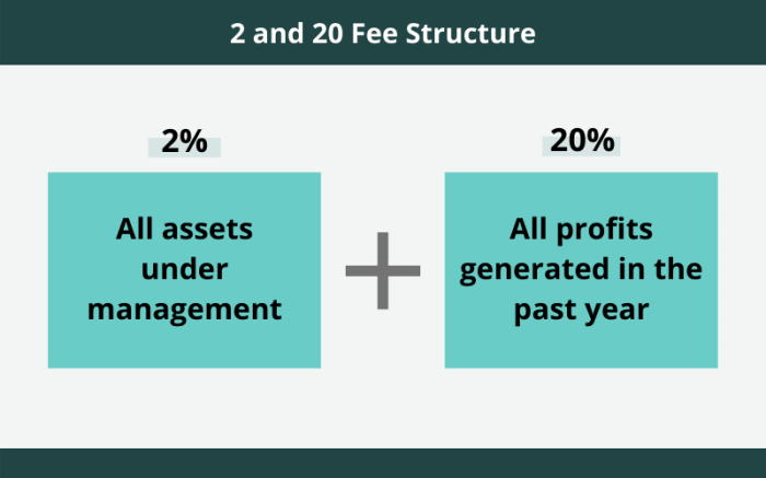 Fee fund hedge structure finance loss topics alternative investments