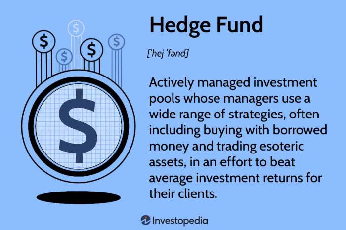 Fund hedge infographic